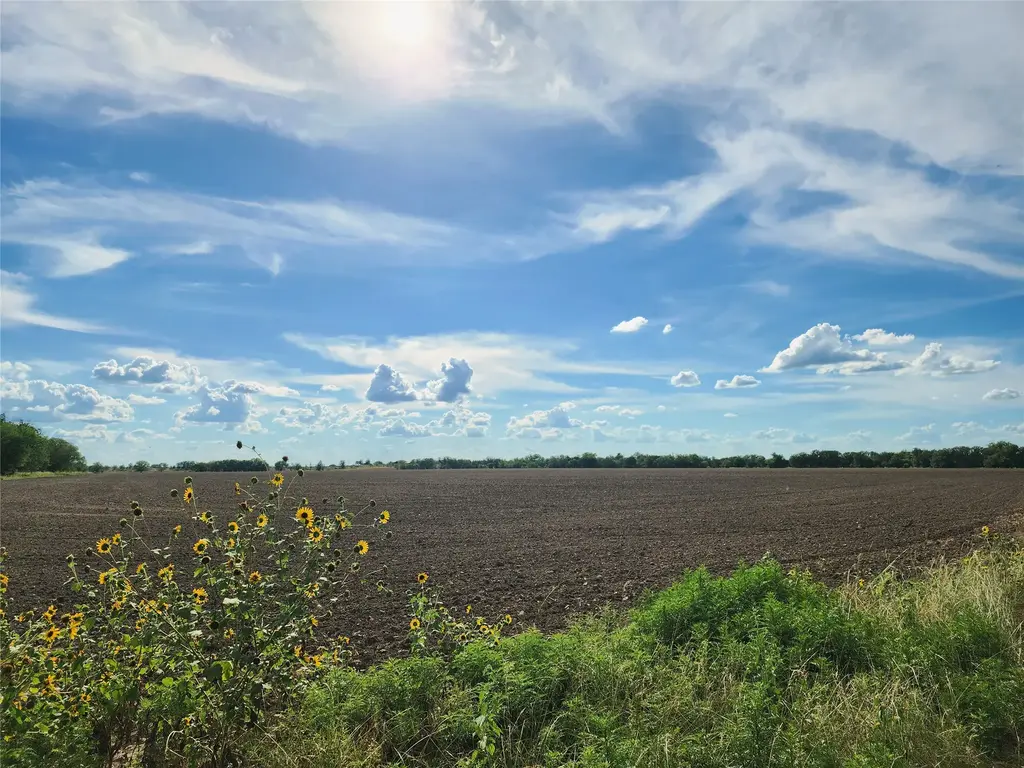 Tbd 1480, San Saba