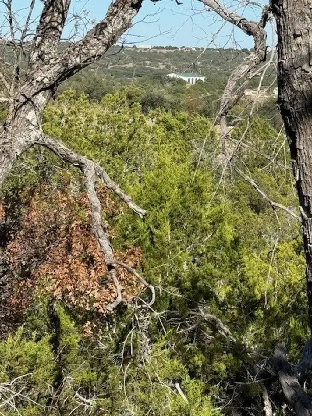 530 Lost Valley Road, Dripping Springs