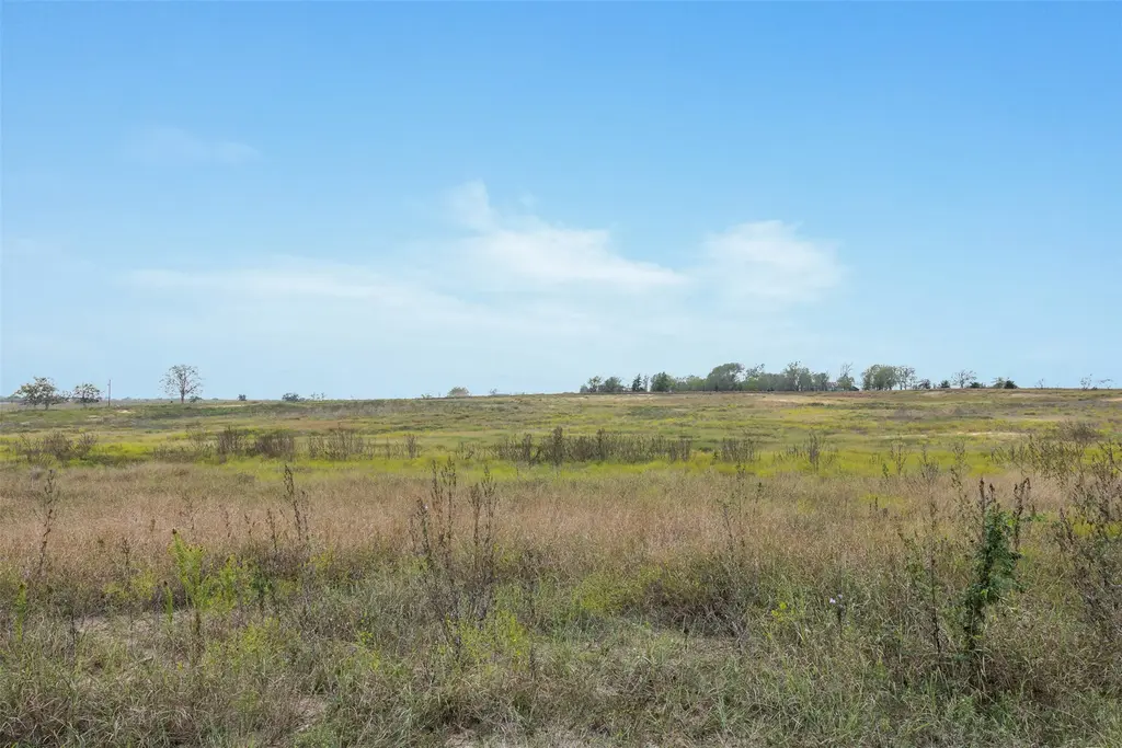 Lot 1 County Road 335, Shiner