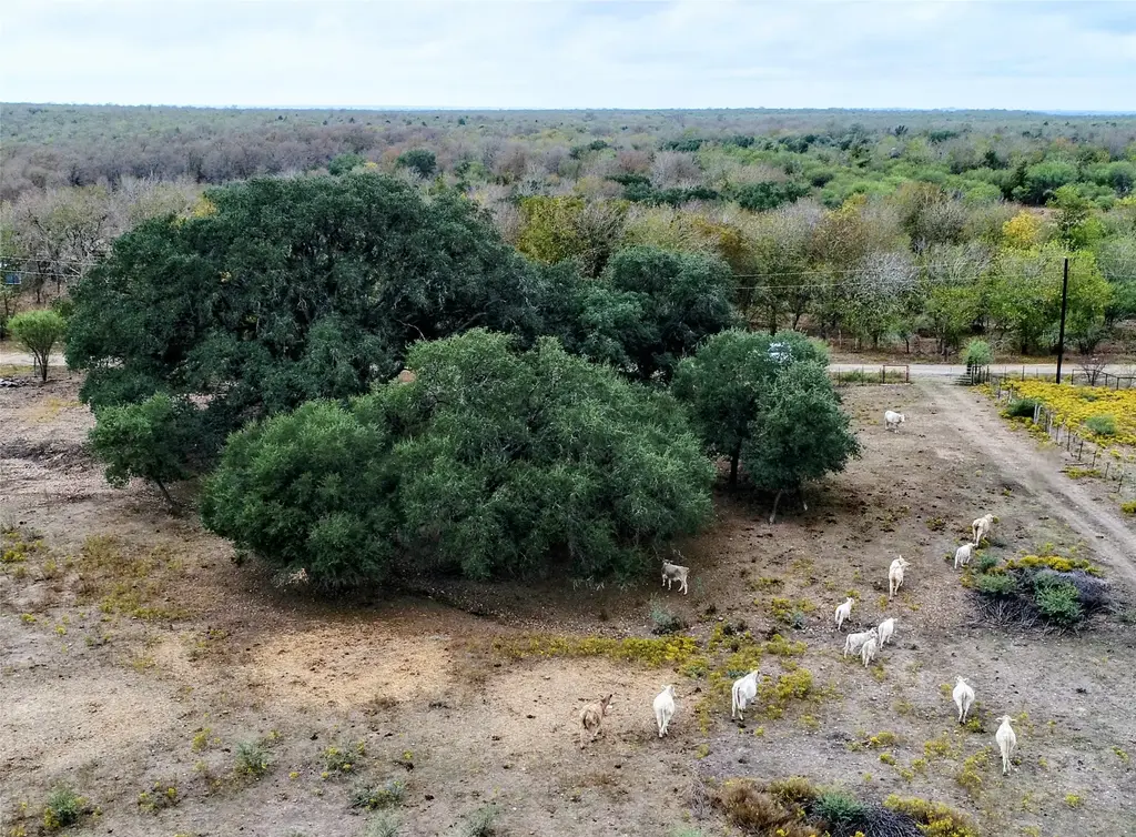 387 Black Watch Lane, Lockhart