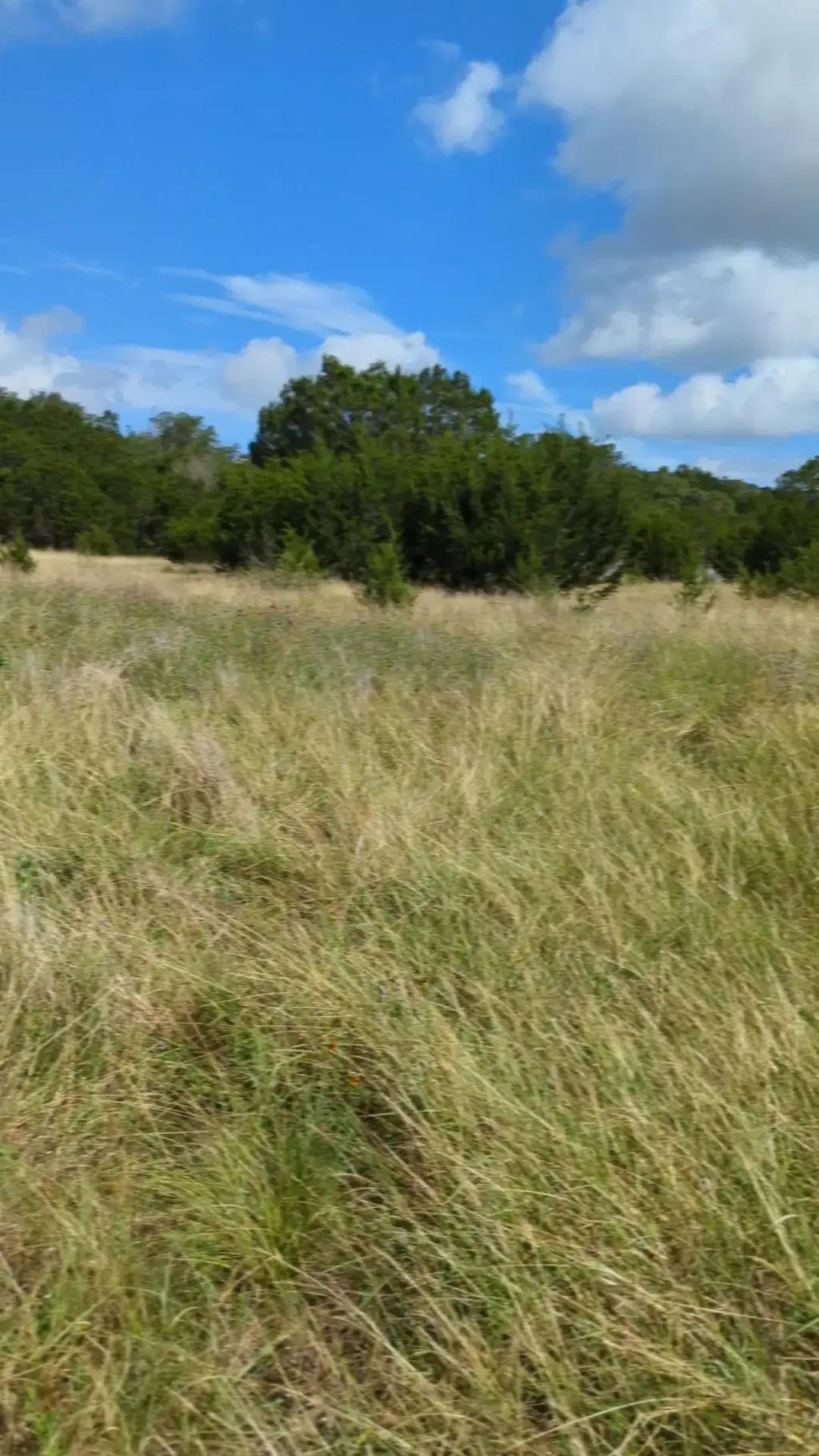 757 Rabbit Avenue, Wimberley