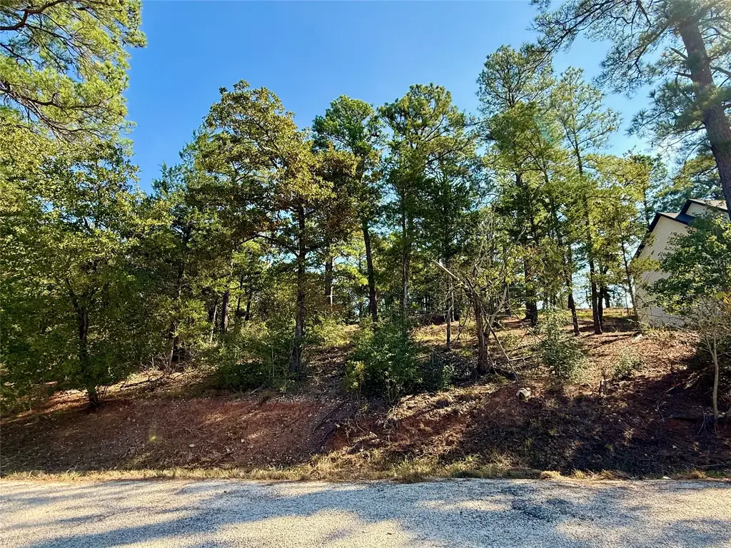 109 And 115 Olomana Court, Bastrop