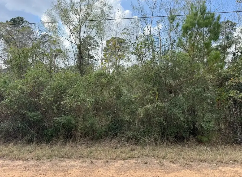Lot 233 Makaha Drive, Bastrop