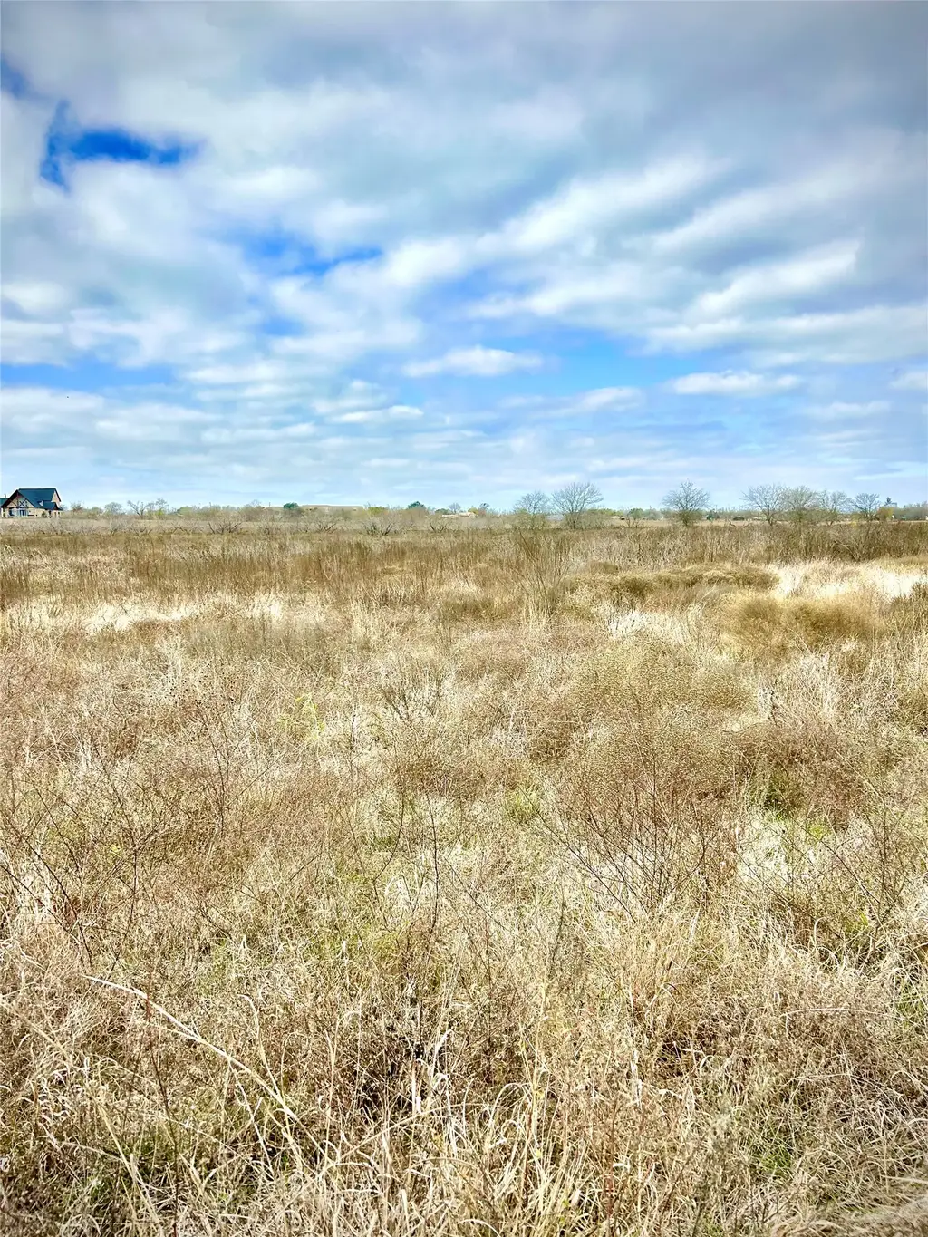 Tbd Tx 36, Rogers