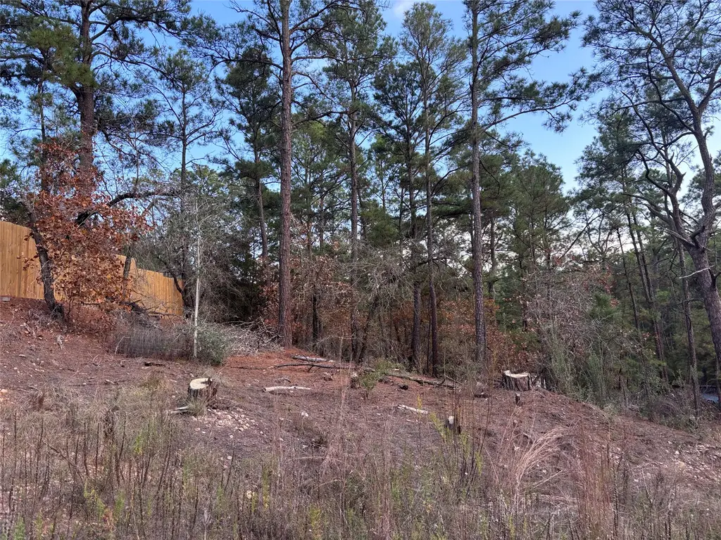 N/A, Bastrop
