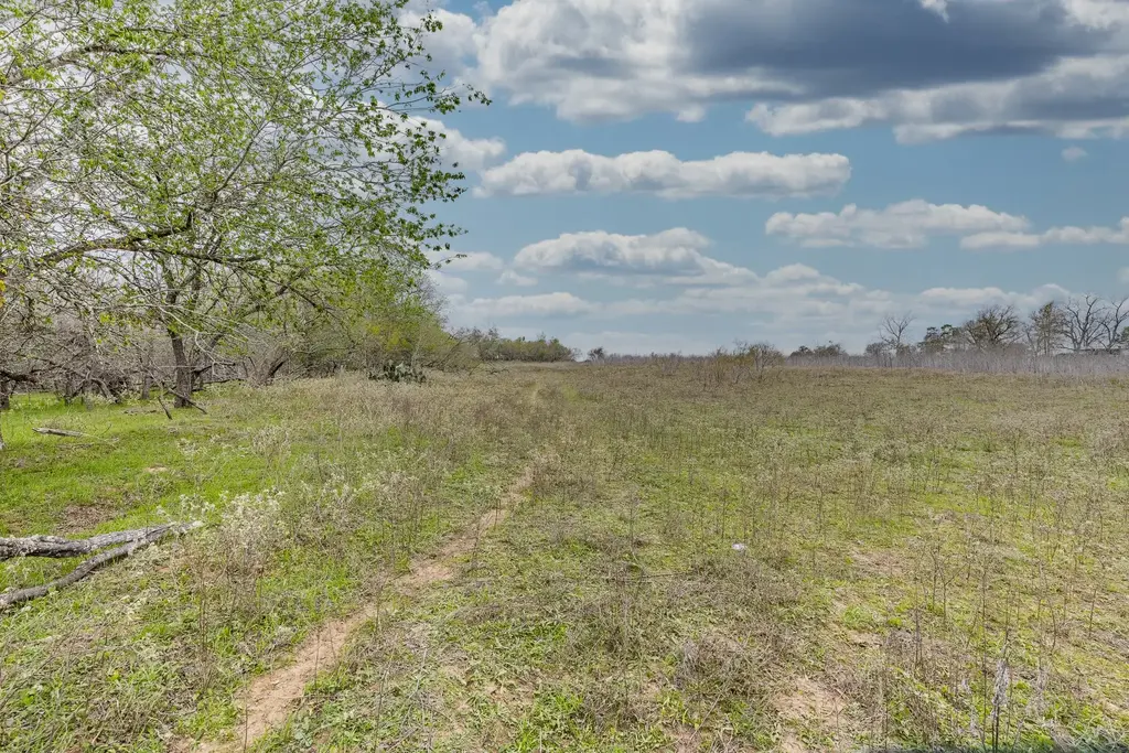 Tbd Cr 157, Gonzales