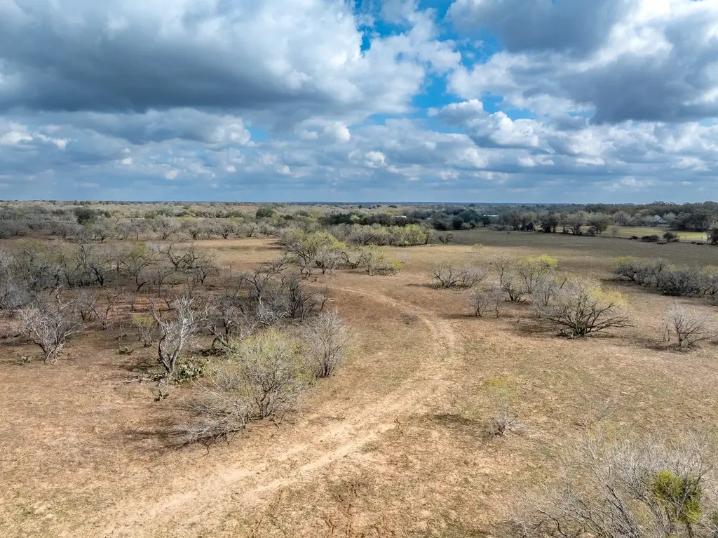 Tbd Cr 113, Gonzales