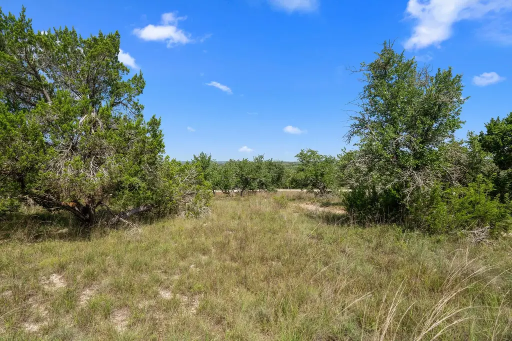 31890 Mirela Ann Road, Dripping Springs