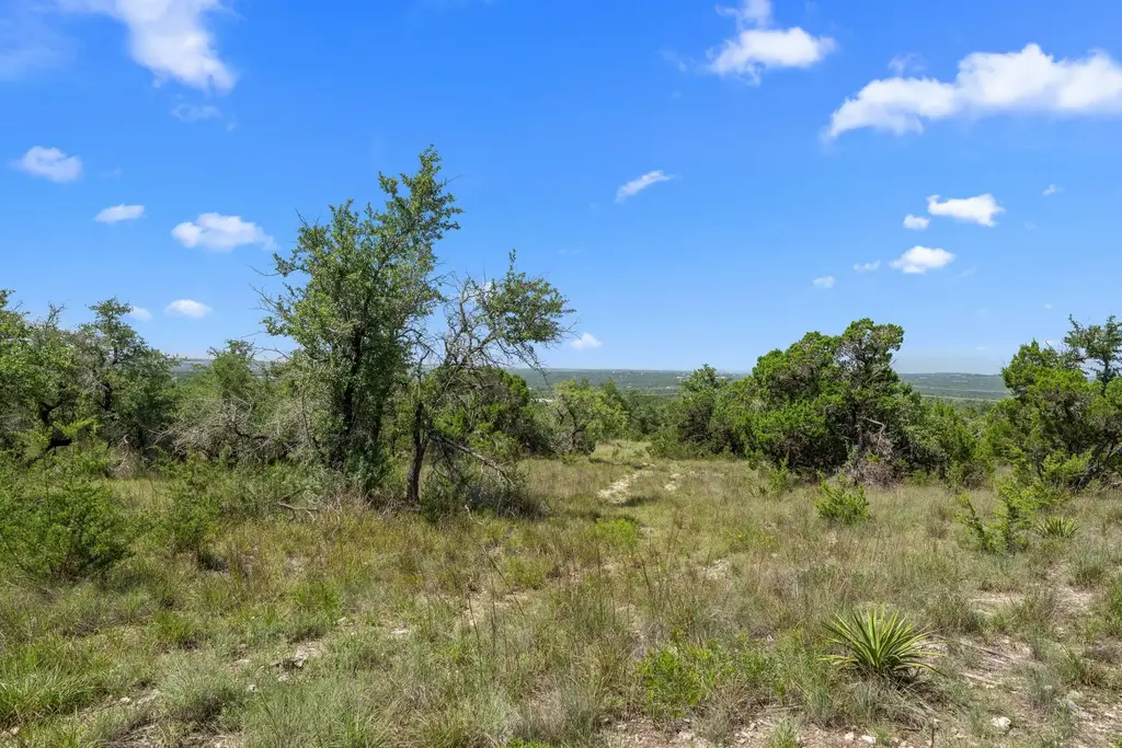 31842 Mirela Ann Road, Dripping Springs