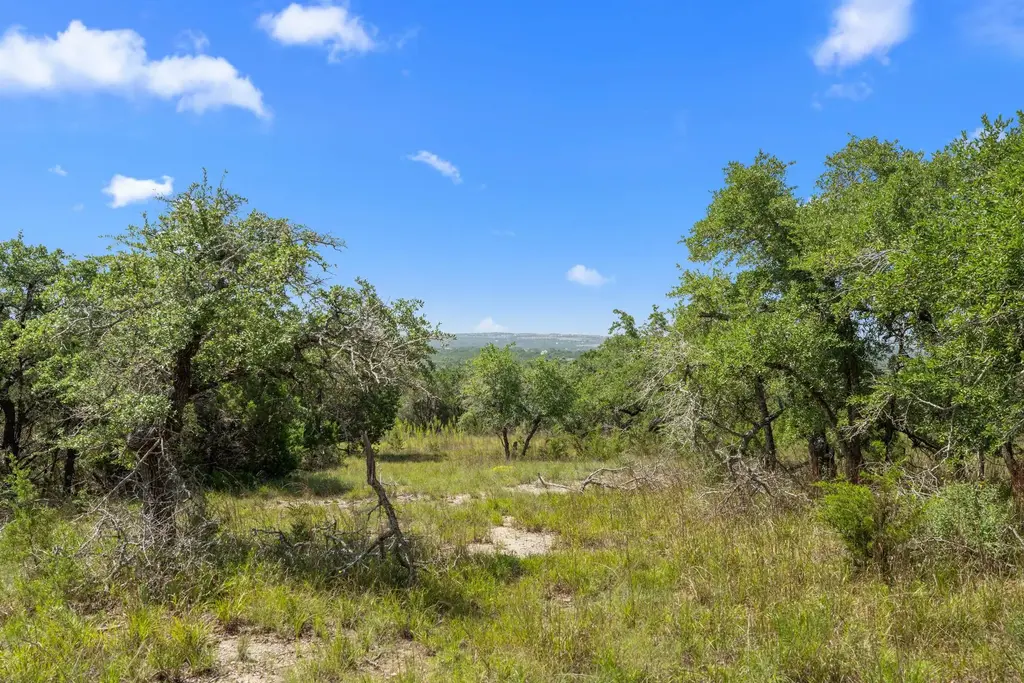 31834 Mirela Ann Road, Dripping Springs