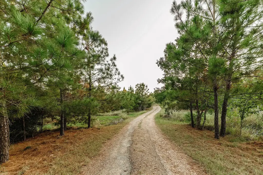 139 Village Forest Drive, Smithville