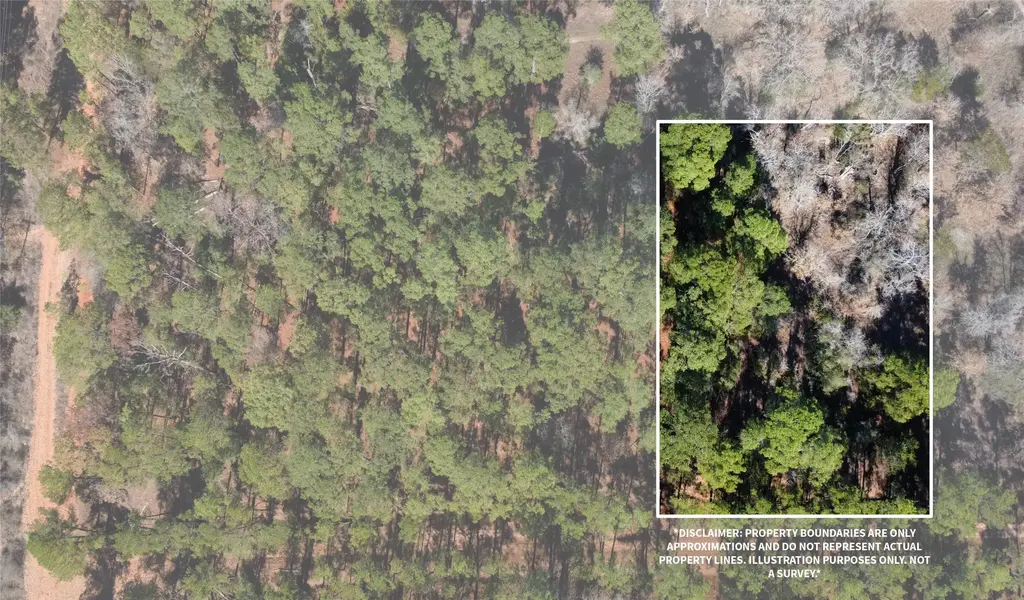 Pine Lodge Drive Lot 26, Bastrop