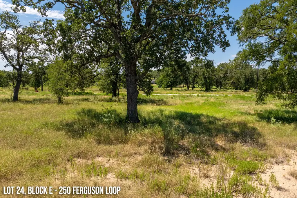 250 Ferguson Loop, Dale