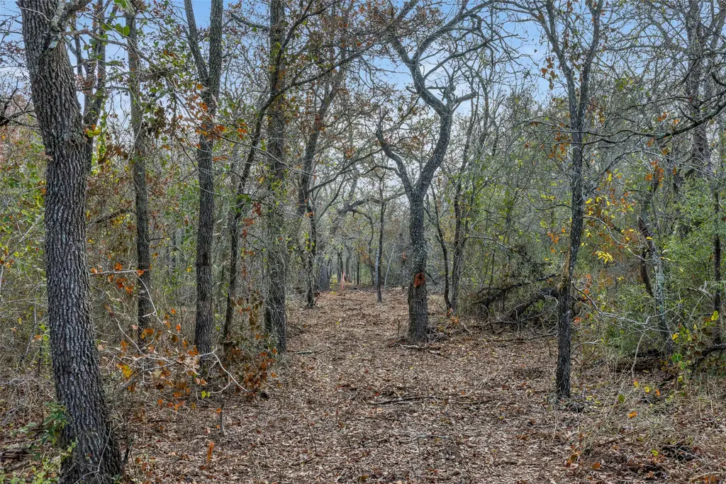 766 Bugtussle Lane, Luling