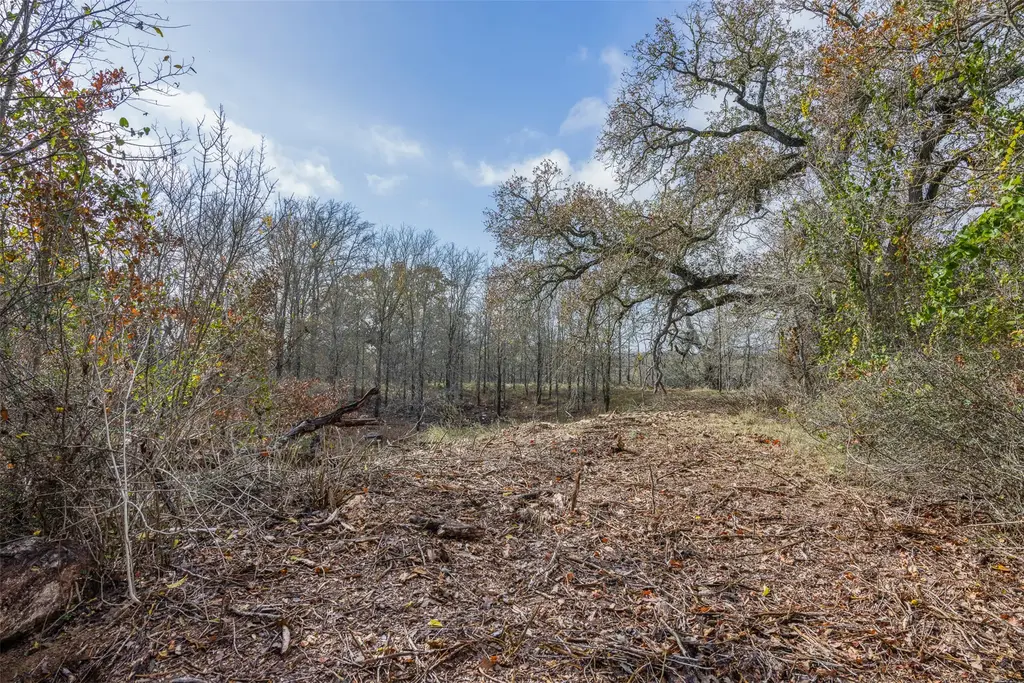 1050 Bugtussle Lane, Luling