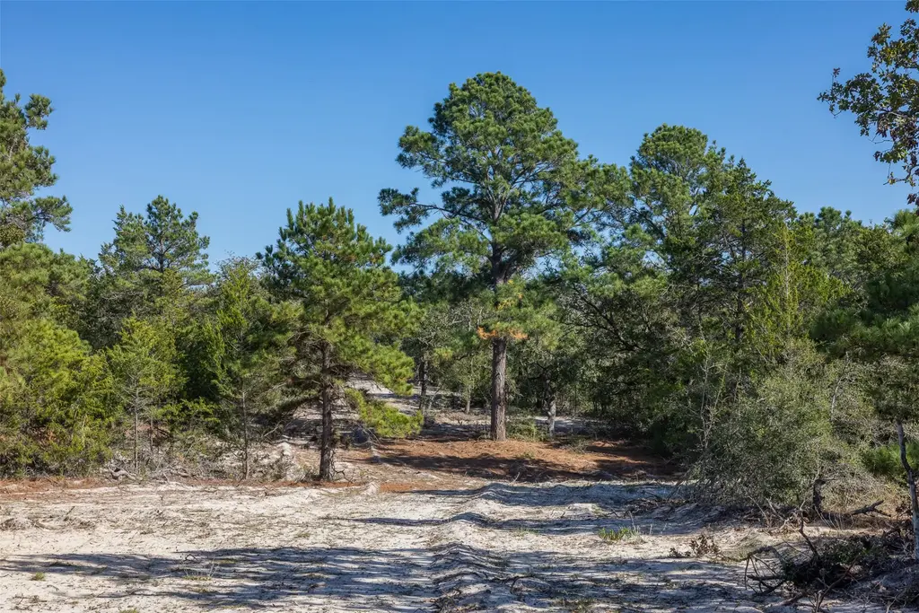 555 Altamira Lane, Dale
