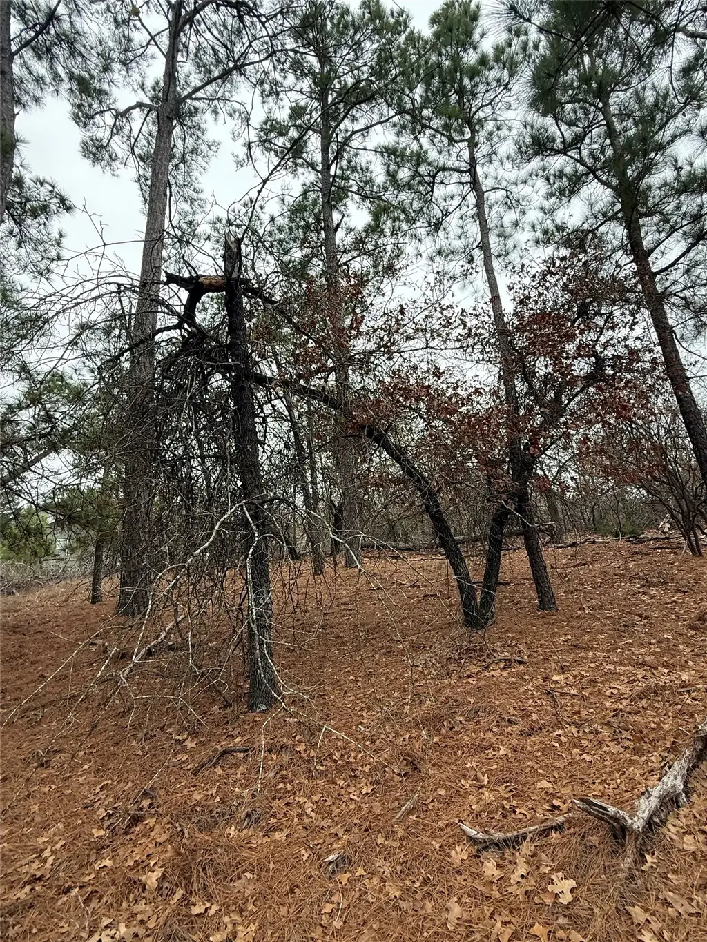 105 Waialua Court, Bastrop