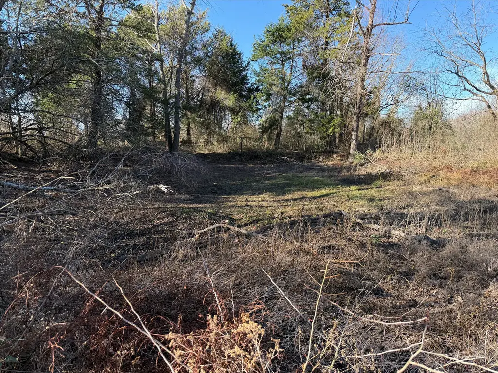 Tbd County Road 925 Tract 17 Road, Teague