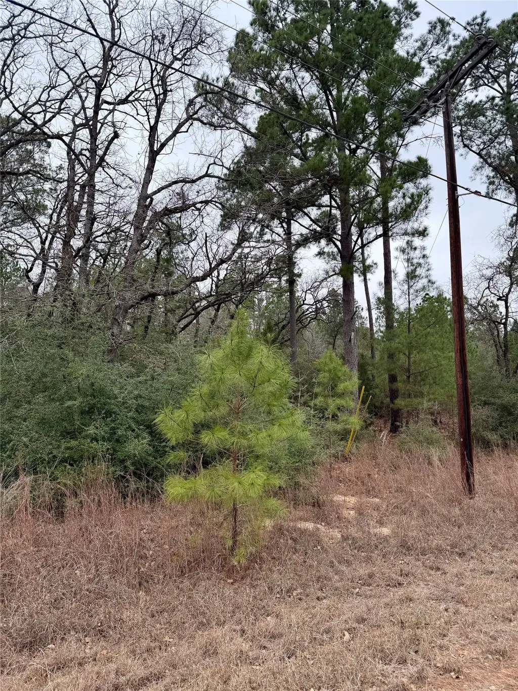 Makaha Drive, Bastrop