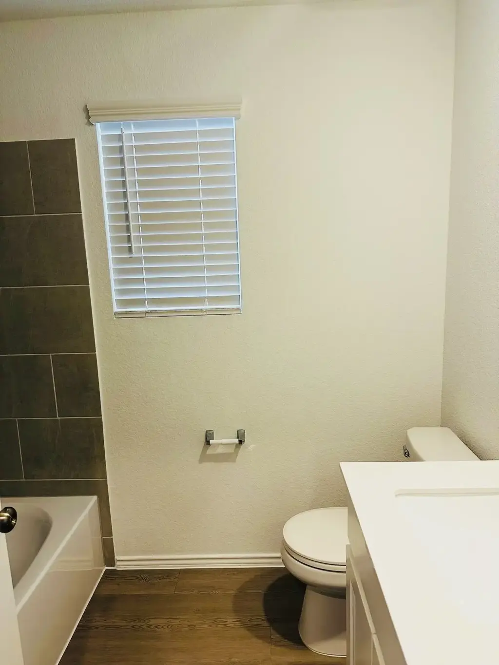 204 Herald Drive, Hutto