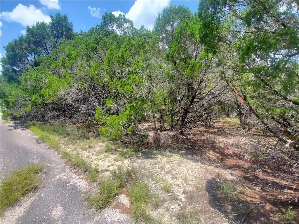 3202 Marshall Avenue, Lago Vista