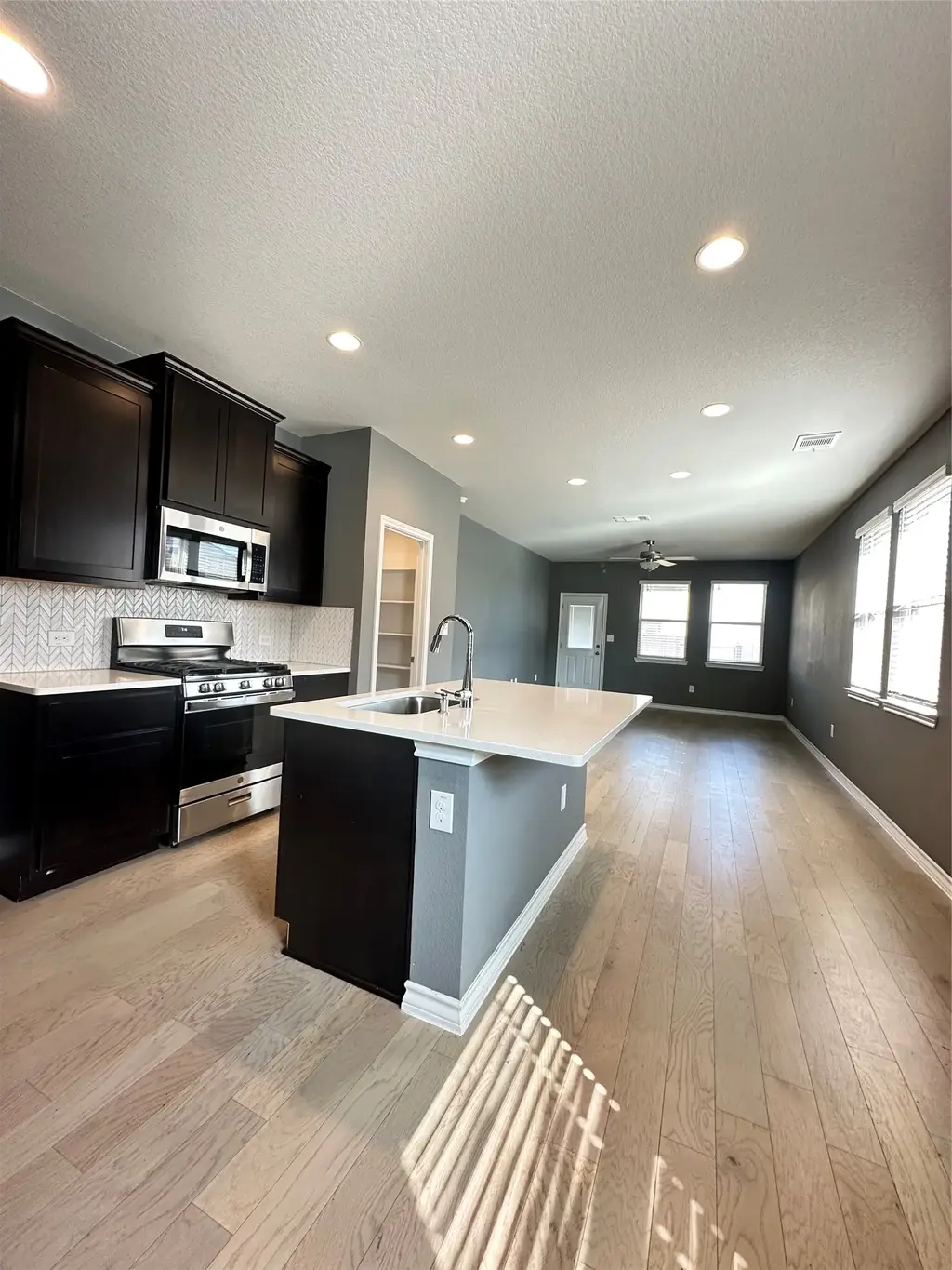 369 Silktassel Way, Buda