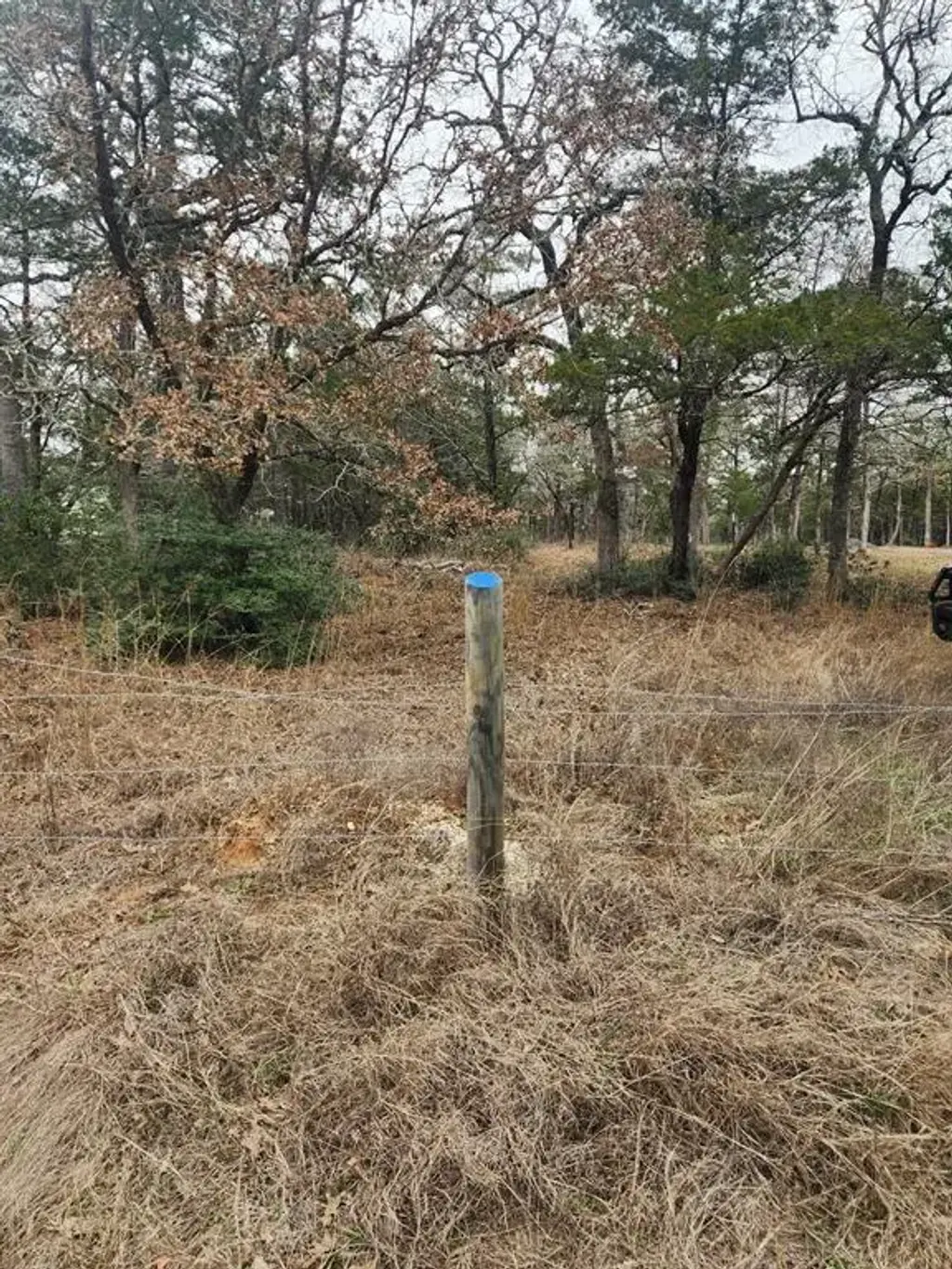 Milam Lane, Bastrop