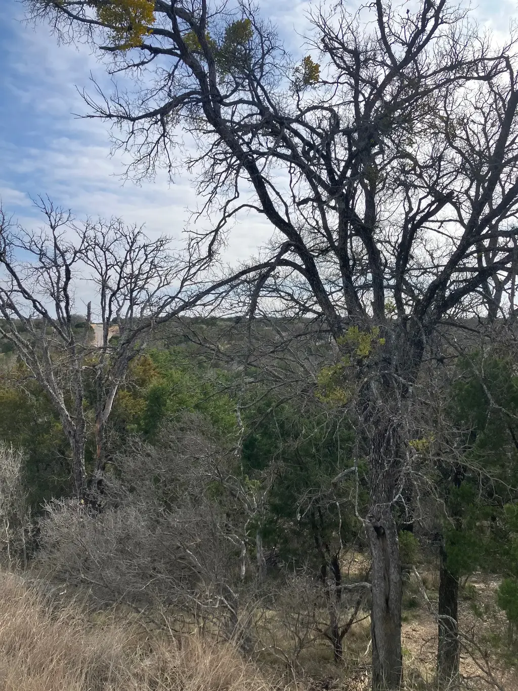 27125 Hi Mesa, Horseshoe Bay