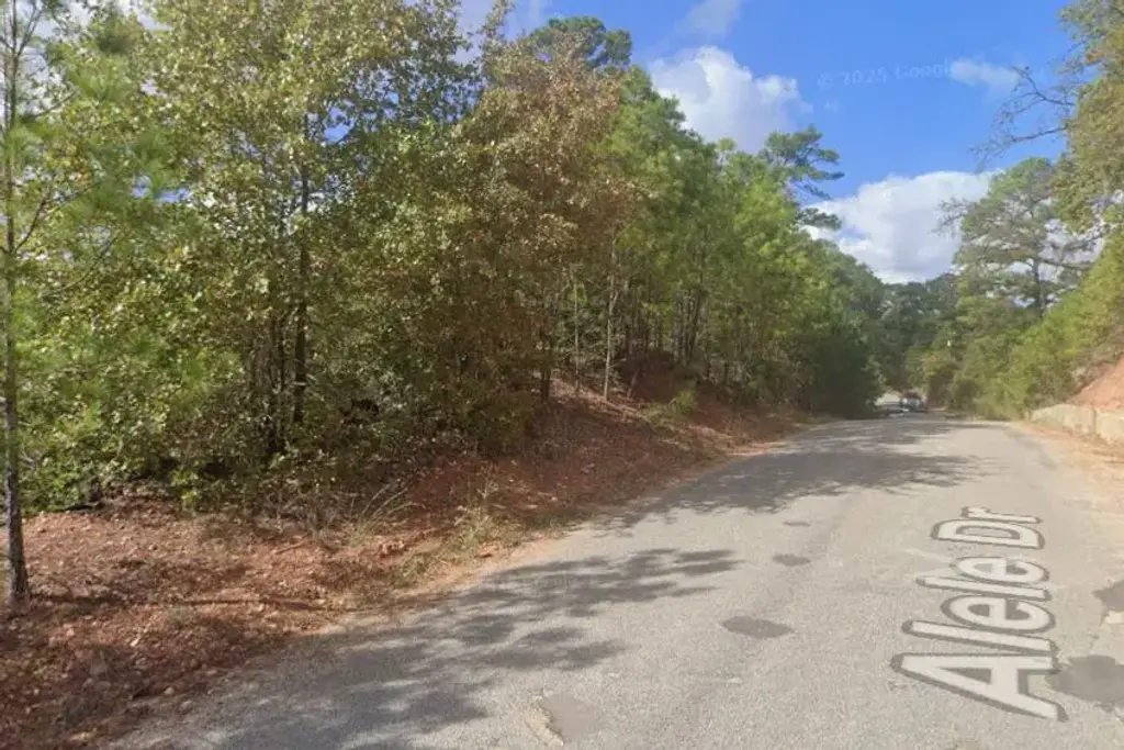 Alele Drive, Bastrop