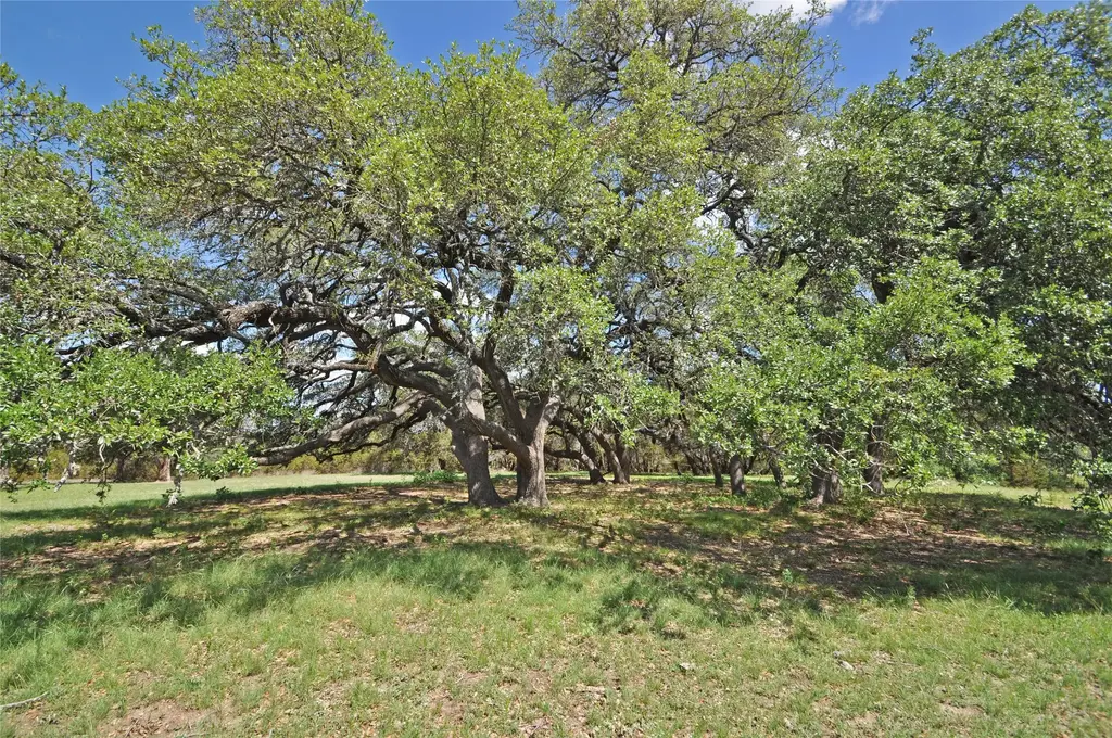 County Road 287 (lot 1), Liberty Hill