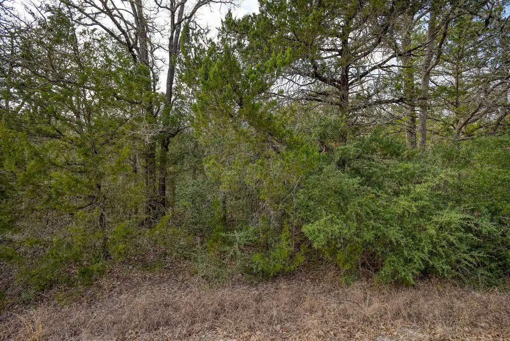 Short Street, Bastrop