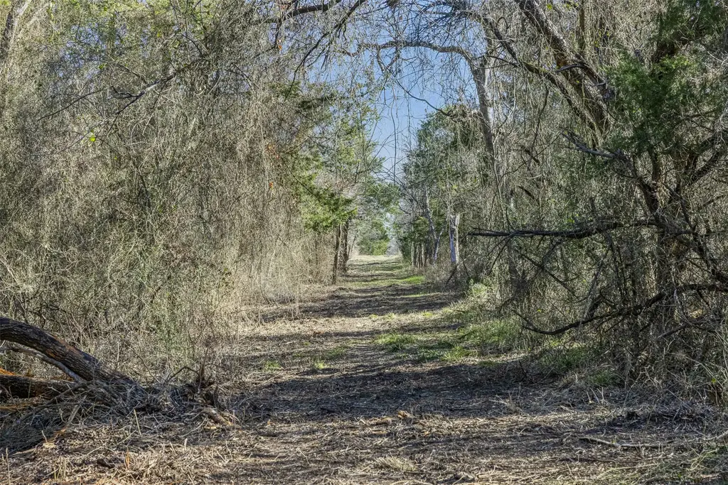 Tract 3 County Road 386, Groesbeck
