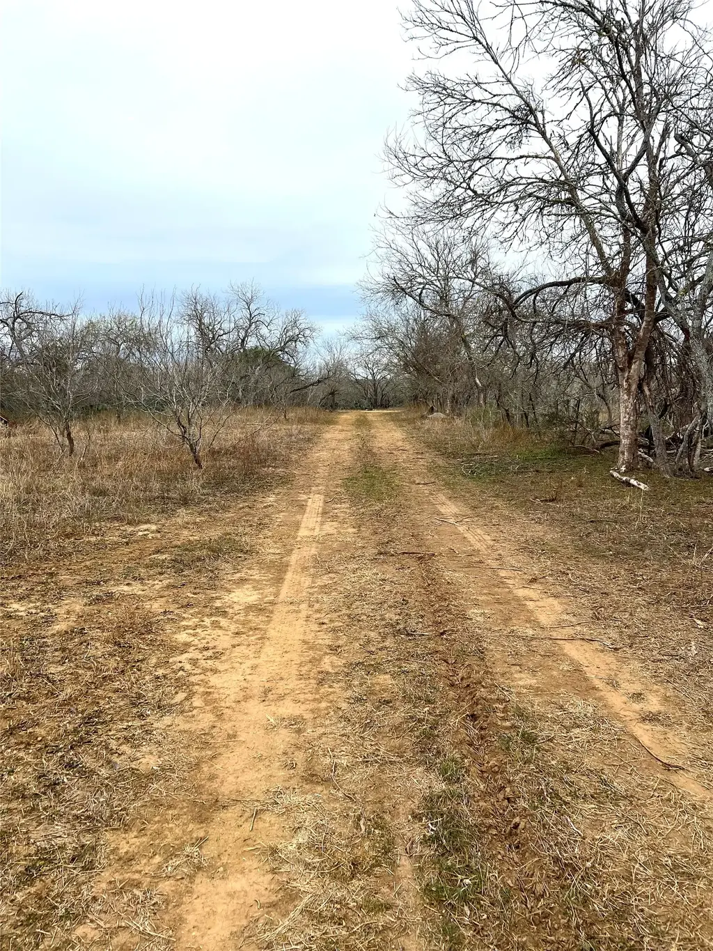Tbd Lot A Watterson Road, Bastrop