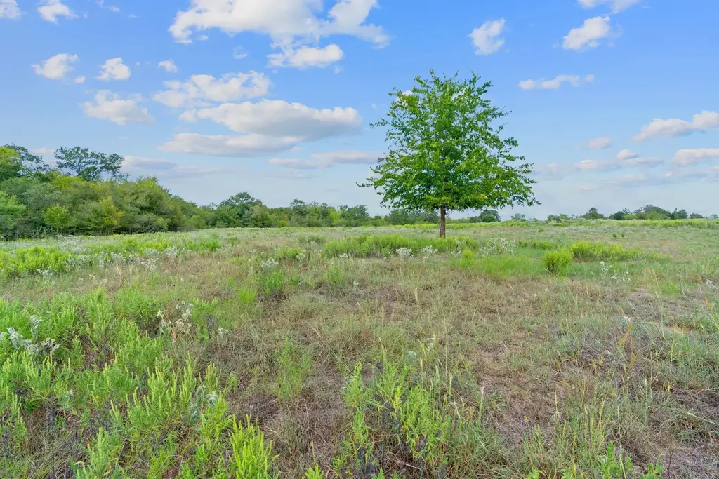 Lot 6 Private Road 4511, Waelder