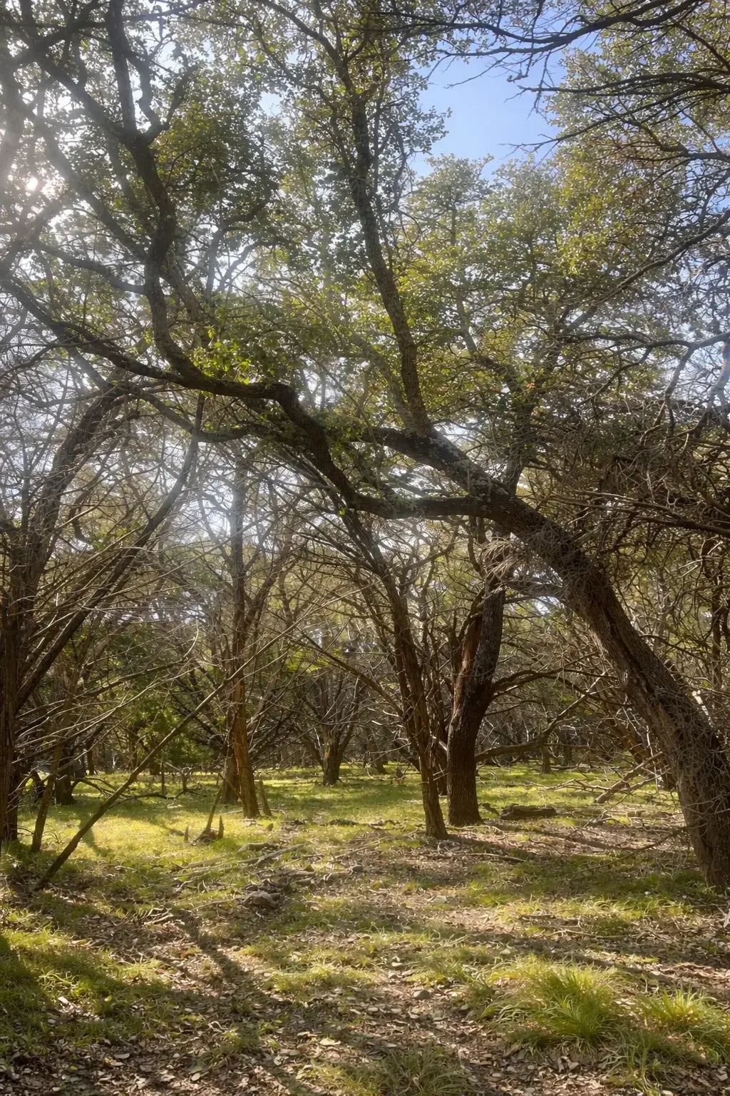 4314 County Road 108, Burnet