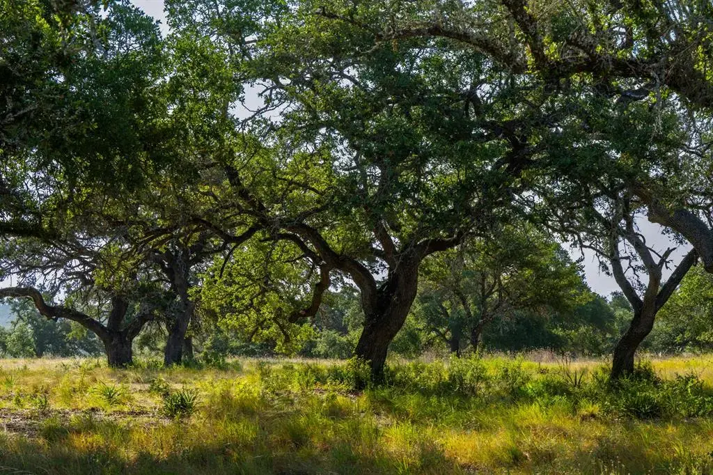 Lot 8 Tuscany Drive, Driftwood