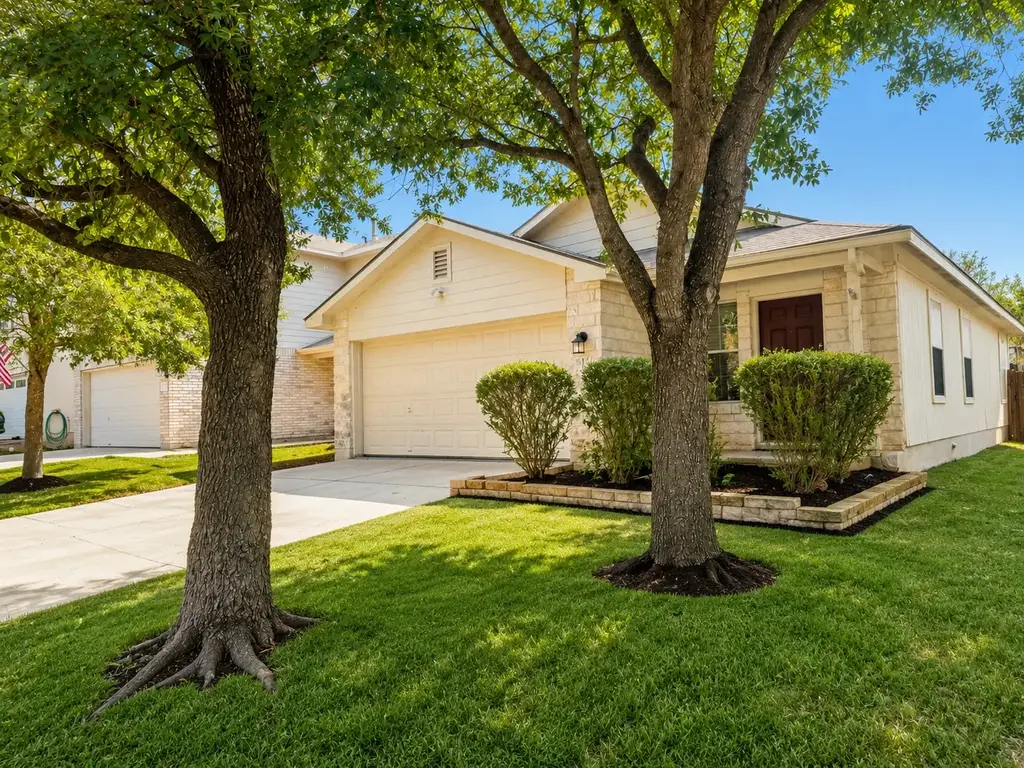 228 Black Forest, Buda