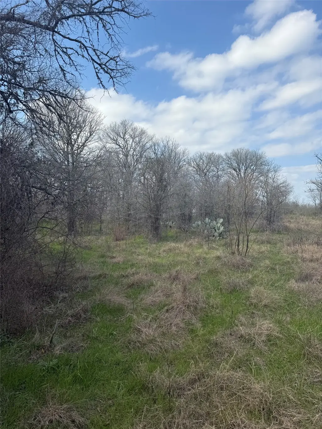 1904 Jasper Street, Bastrop