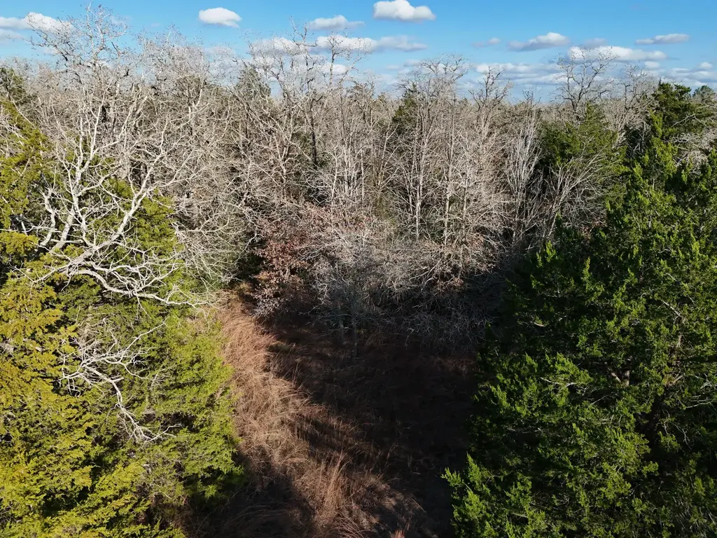 Lot 12 Antioch Road, Paige
