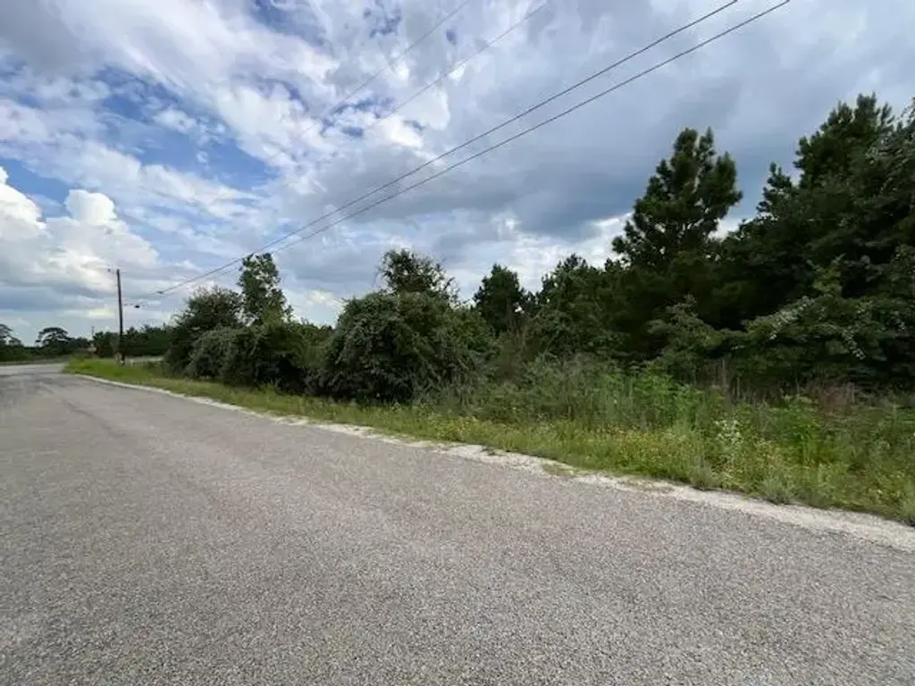 Tbd County Rd., Lot 20-c Road, Bastrop