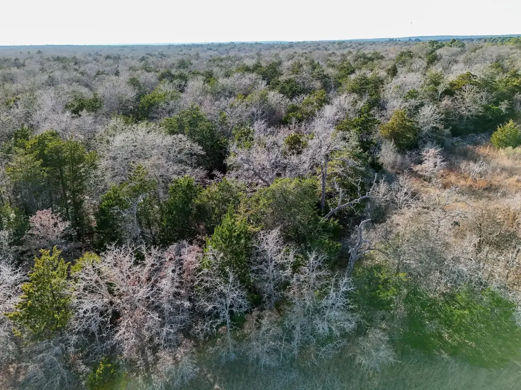 Lot 15 Antioch Road, Paige