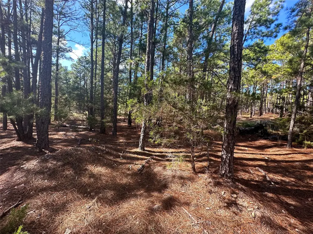 Lot 11 Hickory Ridge Drive, Bastrop