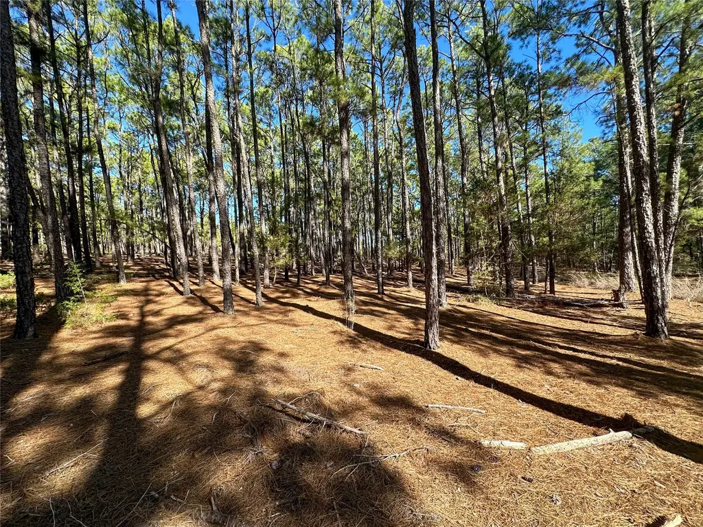 Lot 12 Hickory Ridge Drive, Bastrop