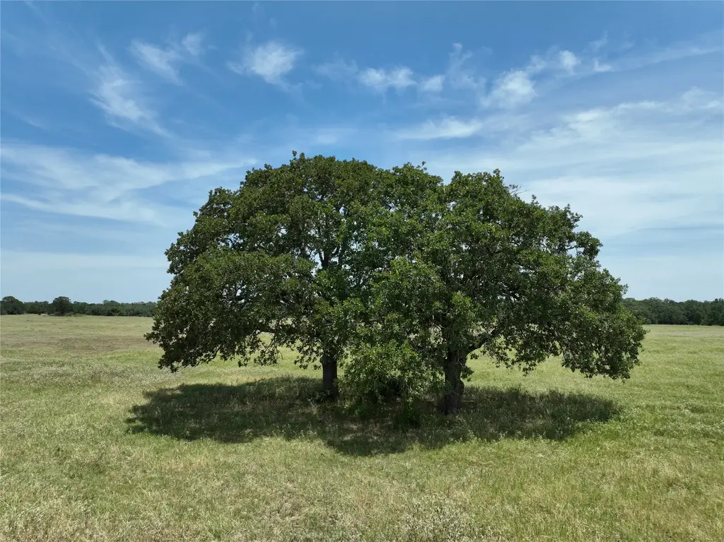 Lot 1&2 Tbd Cr 127 Road, Ledbetter