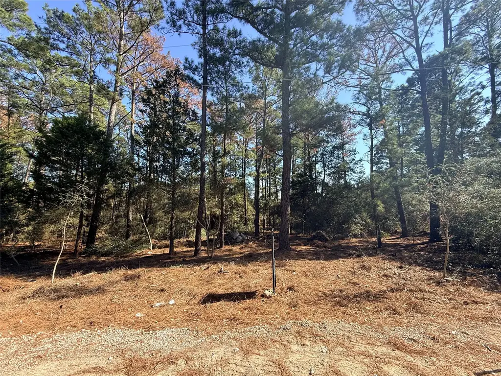 Lot 59 S. Hill Ridge Road, Bastrop