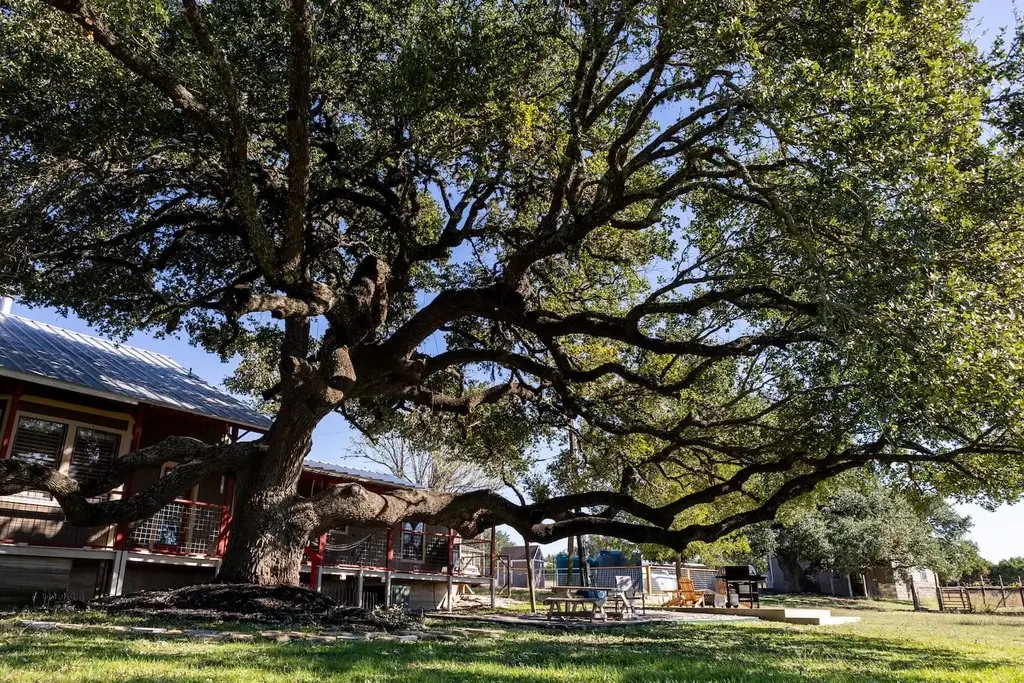 1901 Harmon Hills Road, Dripping Springs