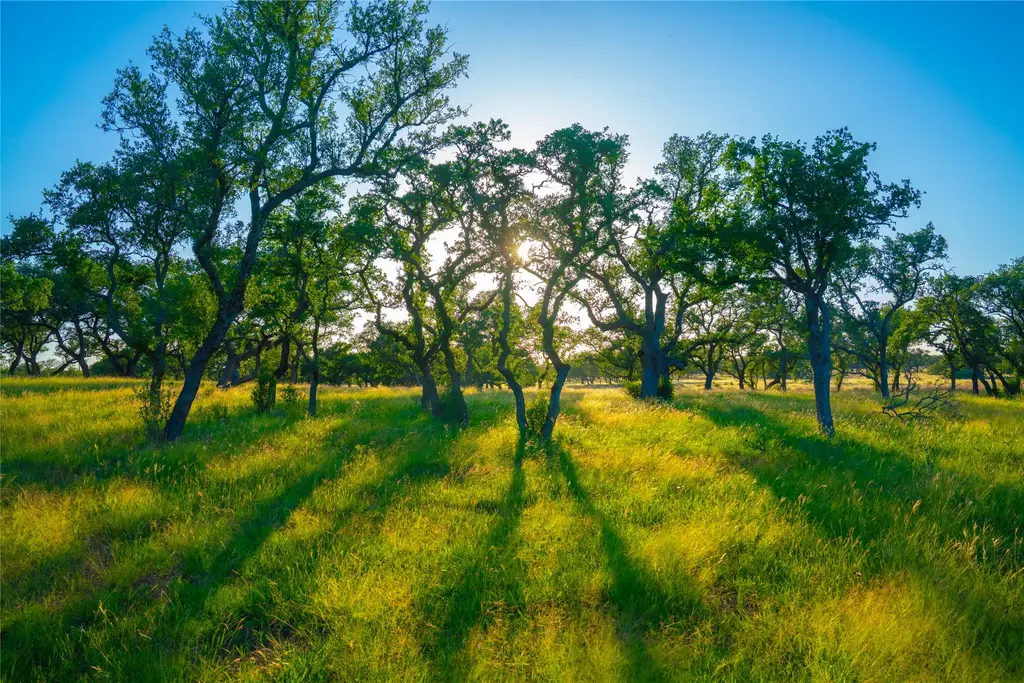Bountiful Oaks Ranch, Johnson City