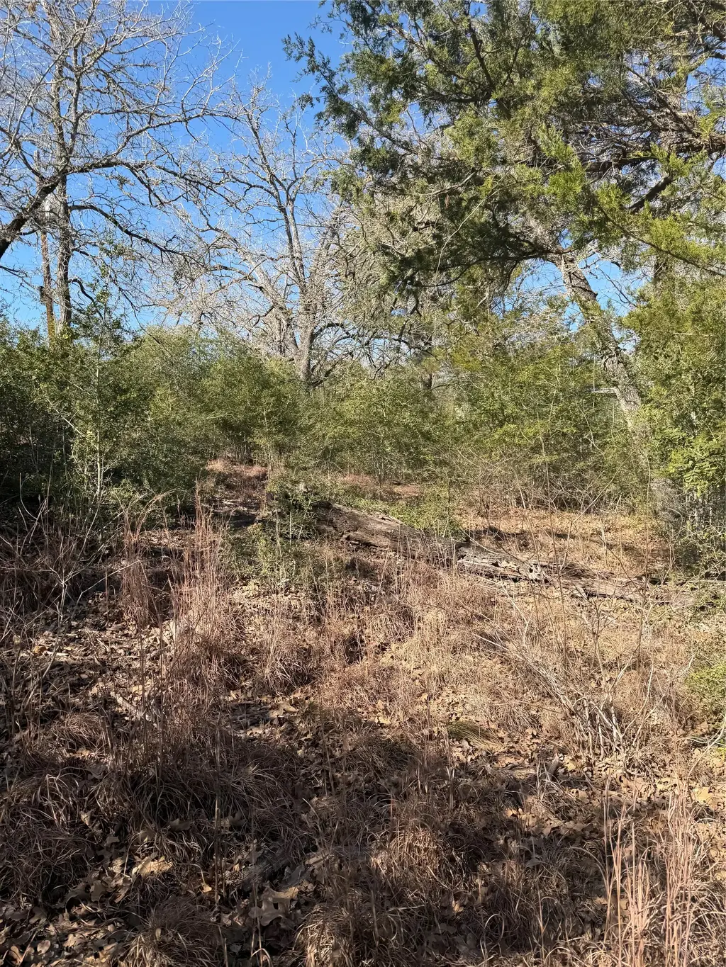 Lot 109 Wailupe Circle, Bastrop