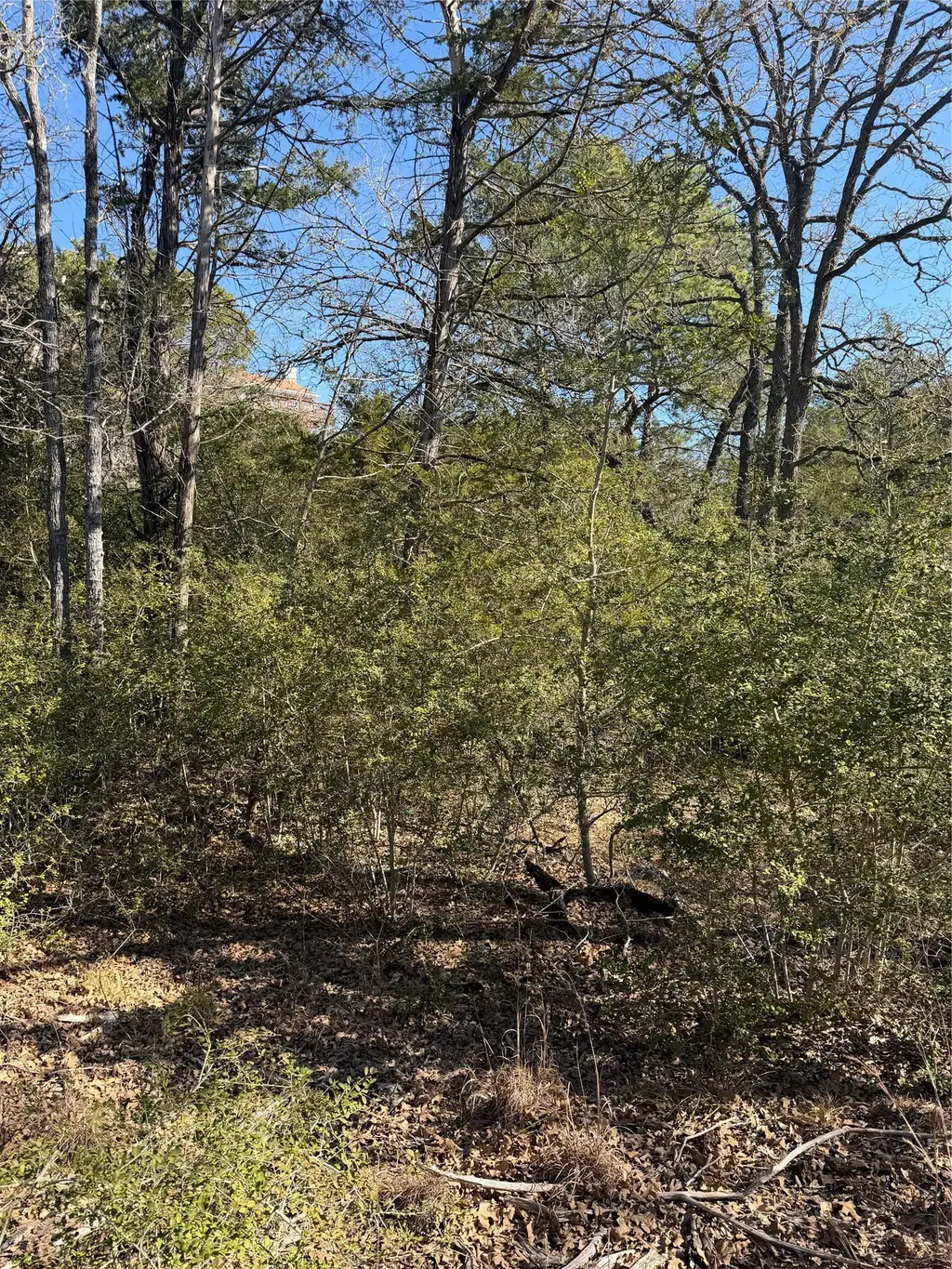 Lot 110 Wailupe Circle, Bastrop