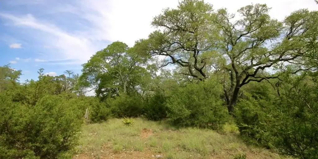 179 Shawnee Trail, Dripping Springs